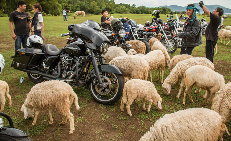 Check-in-tai-Dong-cuu-Suoi-Nghe-tren-duong-di-Vung-Tau