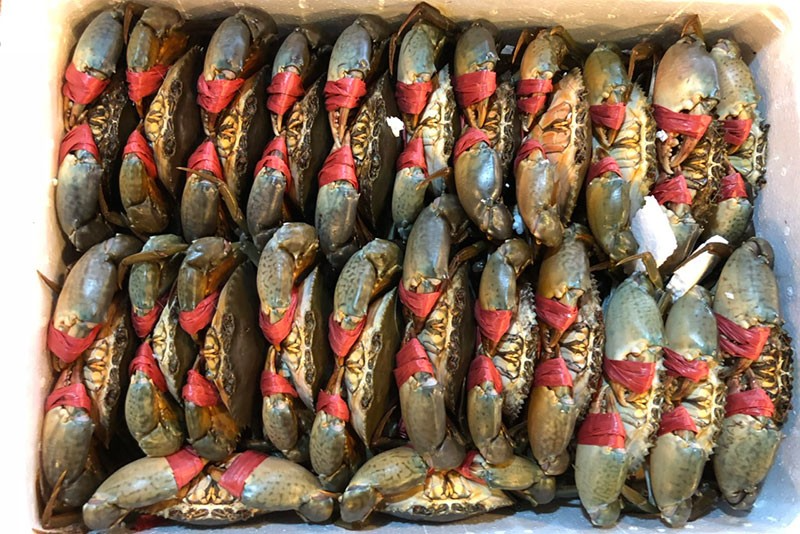 Dong-goi-hai-san-mang-ve-tu-Vung-Tau